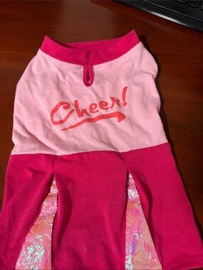 Pink Cheer! Dog Dress with Iridescent Panels